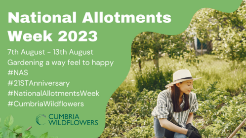 Cumbria Wildflowers Allotments Week