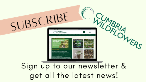 sign up to the cumbria wildflowers newsletter